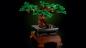 Preview: LEGO® Botanicals Bonsai Baum 878 Teile 10281