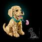 Preview: LEGO® Icons Golden Retriever Welpe 2102 Teile 11384