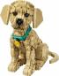 Preview: LEGO® Icons Golden Retriever Welpe 2102 Teile 11384