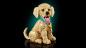 Preview: LEGO® Icons Golden Retriever Welpe 2102 Teile 11384