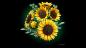Preview: LEGO Botanicals Sonnenblumen 686 Teile 11502
