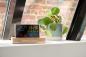 Preview: Thomson Wetterstation CT610 mit Radio Holz braun, schwarz TH389302