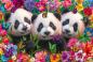 Preview: 200 Teile Schmidt Spiele Kinder Puzzle Panda-Trio 56578