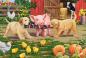 Preview: 3 x 48 Teile Schmidt Spiele Kinder Puzzle Tiere auf dem Bauernhof 56579