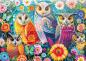 Preview: 1000 Teile Schmidt Spiele Puzzle Eulen und Blumen 58058