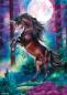 Preview: 1000 Teile Schmidt Spiele Puzzle Einhorn bei Vollmond 58887