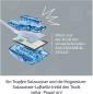 Preview: Kosmos Experimentieren Physik Future Cell-Truck 620745