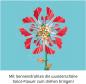Preview: Kosmos Experimentieren Physik Solar-Flower 621476