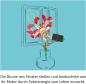 Preview: Kosmos Experimentieren Physik Solar-Flower 621476
