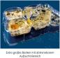 Preview: Kosmos Experimentieren Urzeitkrebse Triops-Welt 633073