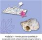 Preview: Kosmos Experimentieren Fun Science Fun Science Kristall-Wunder 654368
