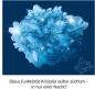 Preview: Kosmos Experimentieren Kristalle & Mineralien Blaue Kristalle selbst züchten 656102