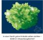Preview: Kosmos Experimentieren Kristalle & Mineralien Grüne Kristalle selbst züchten 656157
