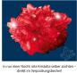 Preview: Kosmos Experimentieren Kristalle & Mineralien Rote Kristalle selbst züchten 656164
