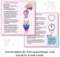 Preview: Kosmos Experimentieren Girls Glitzer-Diamanten 657758