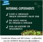 Preview: Kosmos Experimentieren Ausgrabung Nachtleuchtender T-REX 658021