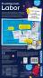 Preview: Kosmos Experimentieren Fun Science Fun Science Fruchtgummi-Labor 658106