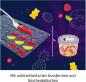 Preview: Kosmos Experimentieren Fun Science Fun Science Fruchtgummi-Labor 658106