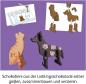 Preview: Kosmos Experimente für Einsteiger Schoko-Tiere 658342