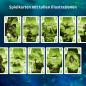 Preview: Kosmos Erwachsenenspiel Kartenspiel Die Crew Mission Tiefsee 680596