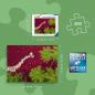Preview: 500 Teile Ravensburger Puzzle Ein Meer aus Rot 12001707