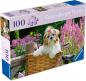 Preview: 100 Teile Ravensburger Puzzle Feel & Well Süßer kleiner Hund 12001731