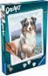 Preview: Ravensburger Malen nach Zahlen CREART Trend Serie C Australian Shepherd Merlin 12023114