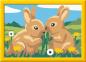Preview: Ravensburger Malen nach Zahlen CREART Serie E Hasenfreunde 12023124 12023124
