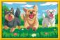 Preview: Ravensburger Malen nach Zahlen CREART Serie C Pfotenfreunde 12023135 12023135