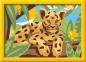 Preview: Ravensburger Malen nach Zahlen CREART Serie E Baby Leopard 12023177 12023177