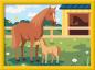 Preview: Ravensburger Malen nach Zahlen CREART Serie D Pferde Pferdemama und Fohlen 12023187 12023187