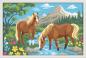 Preview: Ravensburger Malen nach Zahlen CREART Serie C Pferde im Wasser 12023191 12023191