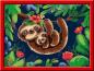 Preview: Ravensburger Malen nach Zahlen Classic Serie D Niedliche Faultiere 28698