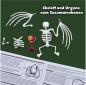 Preview: Simba Outdoor Forschen und Entdecken Scout Dissect-It Fledermaus Schleim-Sezierset 109452705