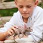 Preview: Schleich DINOSAURS Triceratops Einzelfigur 15000