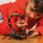 Preview: Schleich ELDRADOR® CREATURES Lavaskorpion Einzelfigur 70142