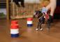 Preview: Schleich FARM WORLD Barrel Racing mit Cowgirl Set 7 Teile 42576