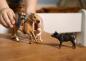 Preview: Schleich FARM WORLD Westernreiten Set 6 Teile 42578