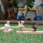 Preview: Schleich FARM WORLD Hühnerfreunde Set 6 Teile 42574