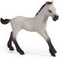Preview: Schleich HORSE CLUB Spielspaß mit Fohlen Set 6 Teile 42534