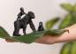 Preview: Schleich WILD LIFE Flachland Gorilla Familie 3 Figuren 42601