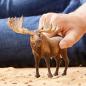 Preview: Schleich WILD LIFE Elch Bulle Einzelfigur 14781