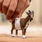 Preview: Schleich FARM WORLD Ziege Einzelfigur 14887