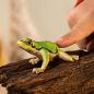 Preview: Schleich WILD LIFE Europäischer Laubfrosch Einzelfigur 14882