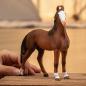 Preview: Schleich HORSE CLUB Marwari Stute Einzelfigur 14897