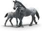Preview: Schleich HORSE CLUB Lisa's Turnier Training Set 7 Teile 42776