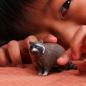 Preview: Schleich WILD LIFE Waschbär Einzelfigur 14937