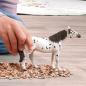 Preview: Schleich HORSE CLUB Knabstrupper Wallach Einzelfigur 14916