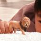 Preview: Schleich WILD LIFE Afrikanischer Löwe Einzelfigur 14974
