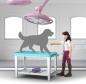 Preview: Schleich HORSE CLUB Pferdeklinik Heilende Hufe Set 64 Teile 42787